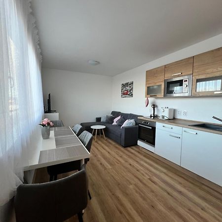 Apartman Roda2 Male Lipno Черна-в-Пошумави Экстерьер фото
